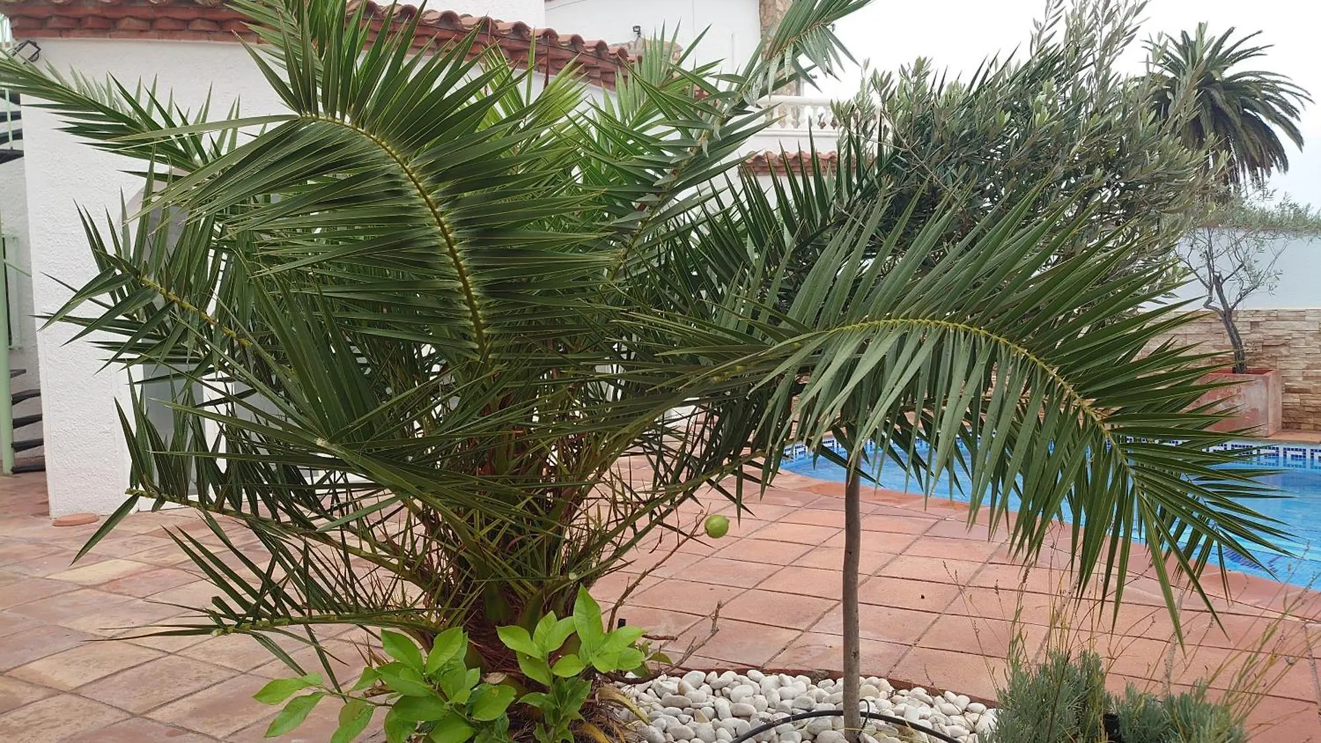 Canal Villa Empuriabrava: Private Mooring, Pool & Air-Conditioned Rooms Spain